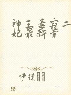 神王毒宠二嫁王妃最新章