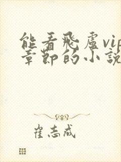 能看飞卢vip章节的小说软件