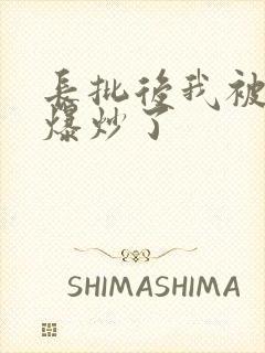 长批后我被宿敌爆炒了