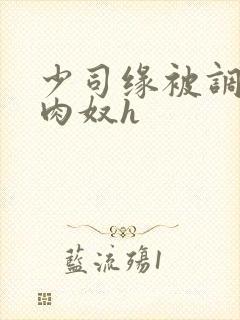 少司缘被调教成肉奴h