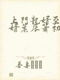 上门龙婿至尊龙婿叶辰萧初然封面