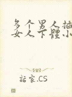 多个男人插进去女人下体小说