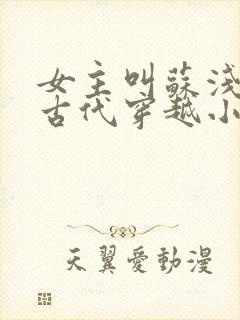 女主叫苏浅浅的古代穿越小说