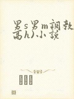 男s男m调教(高h)小说
