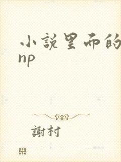 小说里面的高hnp封面