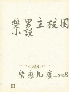 双男主校园甜文小说