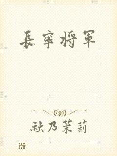 长宁将军