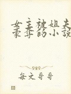 女主被姐夫强取豪夺的小说