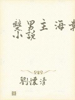 双男主 海棠 小说封面