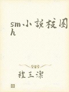 sm小说校园高h