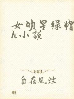 女明星绿帽淫传h小说封面
