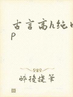 古言高h纯肉np