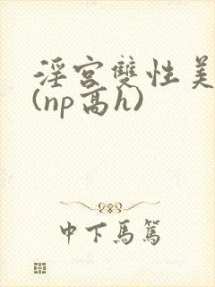 淫宫双性美人录(np高h)