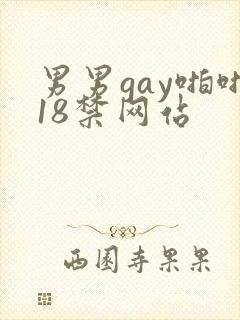 男男gay啪啪18禁网站
