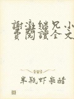 谢澈继兄小说免费阅读全文无弹窗封面