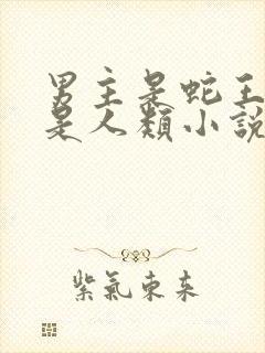 男主是蛇王女主是人类小说封面