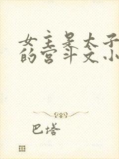 女主是太子妾室的宫斗文小说