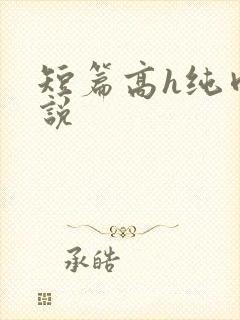 短篇高h纯肉小说