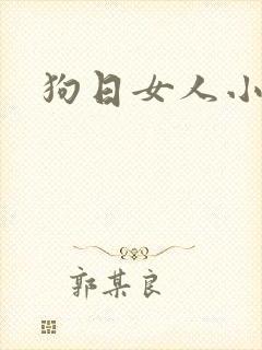 狗日女人小说