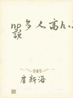 np多人高h小说