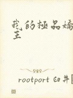 我的极品娇妻女主封面