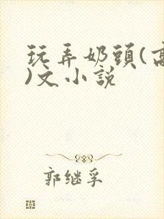 玩弄奶头(高h)文小说