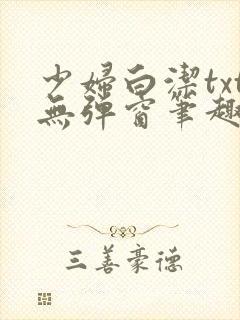 少妇白洁txt无弹窗笔趣阁