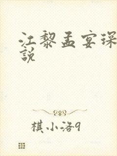 江黎孟宴琛的小说封面