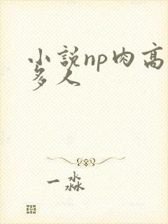 小说np肉高h多人