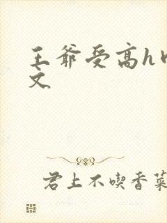 王爷受高h肉辣文封面