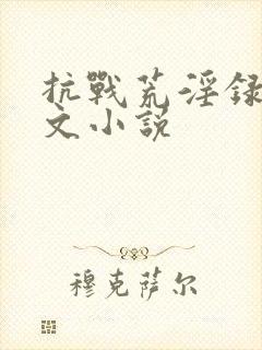 抗战荒淫录h辣文小说