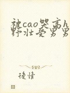 被cao哭高h野壮受男男小说
