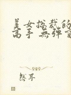 美女总裁的最强高手 无弹窗封面