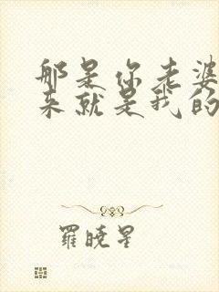 那是你老婆抢过来就是我的小说免费阅读封面