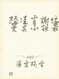 陆凌霄谢依依刘曼柔小说最新章节更新时间