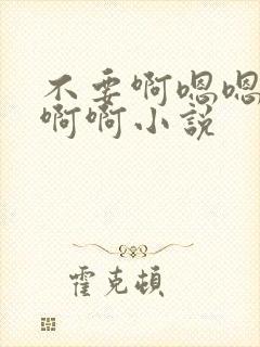 不要啊嗯嗯嗯啊啊啊小说