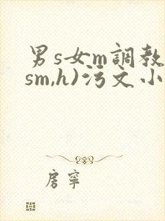 男s女m调教(sm,h)污文小说封面