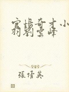 官场奇才小说陆羽刘云峰