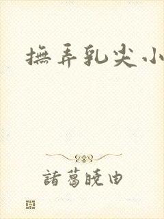 抚弄乳尖小说