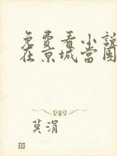 免费看小说王妃在京城当团宠