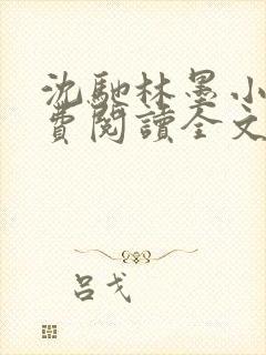 沈驰林墨小说免费阅读全文最新章节封面