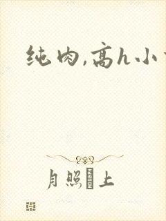纯肉,高h小说