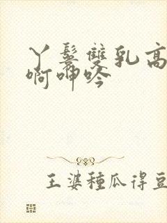 丫鬟双乳高耸嗯啊呻吟