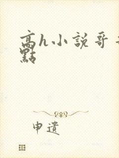 高h小说哥哥轻点封面