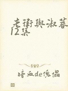 老卫与淑蓉5一12集封面