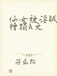 仙女被淫贼强行糟蹋h文