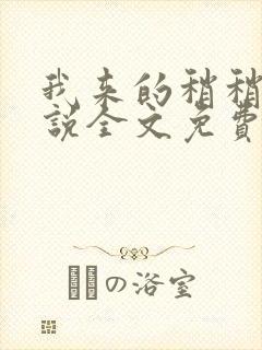 我来的稍稍迟小说全文免费阅读