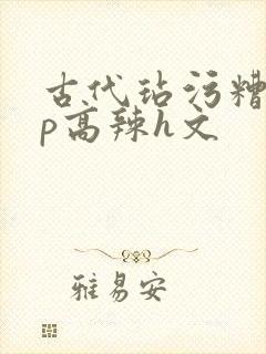 古代玷污糟蹋np高辣h文封面