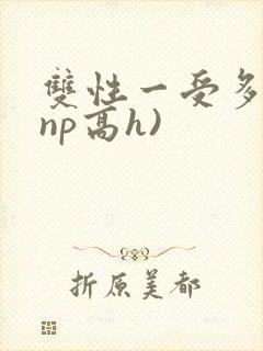 双性一受多攻(np高h)
