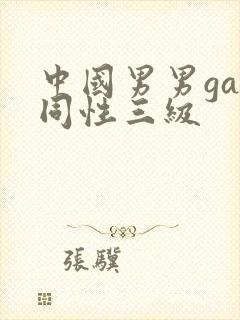 中国男男gay同性三级